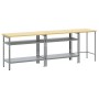 Conjunto de Banco de Trabajo de 3 Piezas Gris Acero de , Mesas de trabajo - Ref: Foro24-3321391, Precio: 259,19 €, Descuento: %