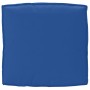 Set mit Kissen für Paletten 2er-Set Königsblaues Polyester von , Kissen für Stühle und Sofas - Ref: Foro24-3329076, Preis: 61...