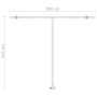 Manuell einziehbare Standmarkise orange und braun 300x250 cm von vidaXL, Markisen - Ref: Foro24-3069500, Preis: 323,57 €, Rab...