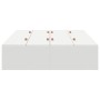 Cama con almacenamiento Blanca 120x200 cm de , Camas y somieres - Ref: Foro24-3335365, Precio: 321,28 €, Descuento: %