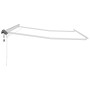 Toldo con Manual 3 x 2,5 m Metal