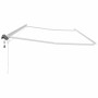 Toldo con Manual 6 x 3 m Metal