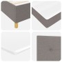 Cama con Box Spring y Colchón Taupe 160x200 cm Tela de , Camas y somieres - Ref: Foro24-3339634, Precio: 598,35 €, Descuento: %