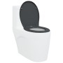 Asiento de inodoro de liberación rápida con cierre suave en duroplasto antracita by , Toilet and bidet seats - Ref: Foro24-42...