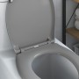 Asiento de Inodoro de Liberación Rápida con Cierre Suave Duroplast Gris by , Toilet and bidet seats - Ref: Foro24-42002347, P...