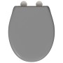 Asiento de Inodoro de Liberación Rápida con Cierre Suave Duroplast Gris by , Toilet and bidet seats - Ref: Foro24-42002347, P...