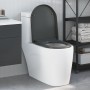 Asiento de inodoro de liberación rápida con cierre suave Duroplast Antracita by , Toilet and bidet seats - Ref: Foro24-420023...