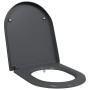 Asiento de inodoro de liberación rápida con cierre suave Duroplast Antracita by , Toilet and bidet seats - Ref: Foro24-420023...