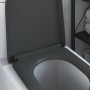 Asiento de inodoro de liberación rápida con cierre suave Duroplast Antracita by , Toilet and bidet seats - Ref: Foro24-420023...