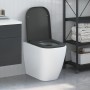 Asiento de inodoro de liberación rápida con cierre suave Duroplast antracita von , Toiletten- und Bidetsitze - Ref: Foro24-42...