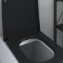 Asiento de inodoro de liberación rápida con cierre suave de duropal negro von , Toiletten- und Bidetsitze - Ref: Foro24-42002...