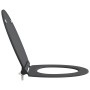 Asiento de Inodoro de Liberación Rápida con Cierre Suave Duroplast Antracita von , Toiletten- und Bidetsitze - Ref: Foro24-42...