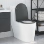 Asiento de inodoro que se cierra suave y rápido Duroplast Antracita by , Toilet and bidet seats - Ref: Foro24-42002366, Price...