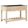 Jardín Planter con Estante 115x59x76 cm Madera Maciza de Abeto von , Töpfe und Pflanzgefäße - Ref: Foro24-42006567, Preis: 87...