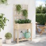 Jardín de Macetero con Enrejado y Estante 71x37x152 cm Madera Maciza de Abeto von , Töpfe und Pflanzgefäße - Ref: Foro24-4200...