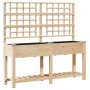 Plantador de Jardín con Enrejado y Estante 161x43x152 cm Madera Maciza de Pino by , Pots and planters - Ref: Foro24-42006572,...
