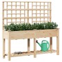 Plantador de Jardín con Enrejado y Estante 161x43x152 cm Madera Maciza de Pino by , Pots and planters - Ref: Foro24-42006572,...