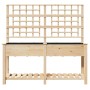 Plantador de Jardín con Enrejado y Estante 161x43x152 cm Madera Maciza de Pino by , Pots and planters - Ref: Foro24-42006572,...