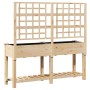 Plantador de Jardín con Enrejado y Estante 161x43x152 cm Madera Maciza de Pino by , Pots and planters - Ref: Foro24-42006572,...