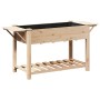 Macetero de Jardín con Estantes 155x59x76 cm de Madera Maciza de Pino by , Pots and planters - Ref: Foro24-42006575, Price: 9...