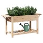 Macetero de Jardín con Estantes 155x59x76 cm de Madera Maciza de Pino by , Pots and planters - Ref: Foro24-42006575, Price: 9...