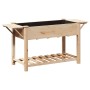 Macetero de Jardín con Estantes 155x59x76 cm de Madera Maciza de Pino by , Pots and planters - Ref: Foro24-42006575, Price: 9...