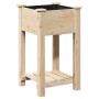 Plantador de Jardín con Estante 45x45x76 cm Madera Sólida de Pino by , Pots and planters - Ref: Foro24-42006576, Price: 54,18...