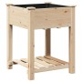 jardinera  con estante 60x60x76 cm de madera maciza de abeto | Foro24.es | Tu tienda online para hogar, jardín y más Foro24.es