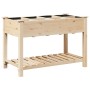 Jardín Planter con Rejillas 115x59x76 cm Madera Sólida de Pino von , Töpfe und Pflanzgefäße - Ref: Foro24-42006580, Preis: 11...