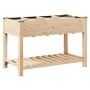 Jardín Planter con Rejillas 115x59x76 cm Madera Sólida de Pino von , Töpfe und Pflanzgefäße - Ref: Foro24-42006580, Preis: 11...