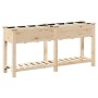 Jardín Planter de  con Rejillas 161x43x76 cm Madera Sólida de Abeto | Foro24.es | Tu tienda online para hogar, jardín y más Foro24.es