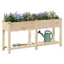 Jardín Planter de  con Rejillas 161x43x76 cm Madera Sólida de Abeto | Foro24.es | Tu tienda online para hogar, jardín y más Foro24.es