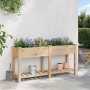 Jardín Planter de  con Rejillas 161x43x76 cm Madera Sólida de Abeto | Foro24.es | Tu tienda online para hogar, jardín y más Foro24.es