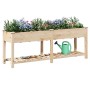 Macetero de Jardín  con Rejillas 203x53x76 cm de Madera Maciza de Abeto | Foro24.es | Tu tienda online para hogar, jardín y más Foro24.es