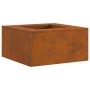 Fogata Cuadrada 60x60x30 cm Acero Corrosion de , Chimeneas - Ref: Foro24-858919, Precio: 88,66 €, Descuento: %