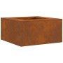 Hoguera Cuadrada 80x80x40 cm de Acero Envejecido de , Chimeneas - Ref: Foro24-858921, Precio: 130,29 €, Descuento: %