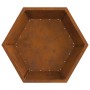Hoguera Hexagonal 75x75x28 cm Acero Resistente a la Intemperie de , Chimeneas - Ref: Foro24-858997, Precio: 95,74 €, Descuent...