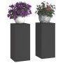 Esquineros de Plantas de Pilar 2 pcs Negro 24x24x55 cm Acero von , Topfständer - Ref: Foro24-865813, Preis: 61,04 €, Rabatt: %
