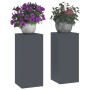 Soportes de plantas exteriores Pilar 2 pcs Antracita 24x24x55 cm Acero von , Topfständer - Ref: Foro24-865815, Preis: 63,78 €...
