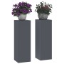 Soportes para Plantas Exteriores Pilar 2 pcs Antracita 24x24x75 cm Acero von , Topfständer - Ref: Foro24-865822, Preis: 82,97...