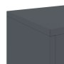 Soportes para Plantas Exteriores Pilar 2 pcs Antracita 24x24x75 cm Acero von , Topfständer - Ref: Foro24-865822, Preis: 82,97...