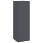 Soportes para Plantas de Exterior - Set de 3 de Acero Antracita von , Topfständer - Ref: Foro24-865829, Preis: 94,21 €, Rabat...