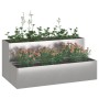 Macetero de Jardín de 2 Niveles 100x60x45 cm Acero Inoxidable | Foro24.es | Tu tienda online para hogar, jardín y más Foro24.es
