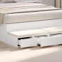 Cajones de Cama Blanco 120x36,5x16,5 cm Madera de Ingeniería de , Mesitas de noche - Ref: Foro24-866939, Precio: 82,36 €, Des...