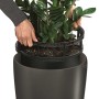LECHUZA Macetero Rondo 40 ALL-IN-ONE carbón metalizado 15743 von , Töpfe und Pflanzgefäße - Ref: Foro24-421461, Preis: 141,11...