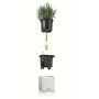 LECHUZA Jardineras 3 unidades Green Wall Home Kit blanco von , Töpfe und Pflanzgefäße - Ref: Foro24-425619, Preis: 63,92 €, R...