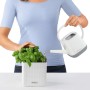 LECHUZA Jardineras 3 unidades Green Wall Home Kit blanco von , Töpfe und Pflanzgefäße - Ref: Foro24-425619, Preis: 63,92 €, R...