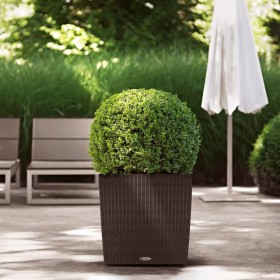LECHUZA Macetero CUBE Cottage 50 ALL-IN-ONE moca de , Maceteros y jardineras - Ref: Foro24-442088, Precio: 101,31 €, Descuent...