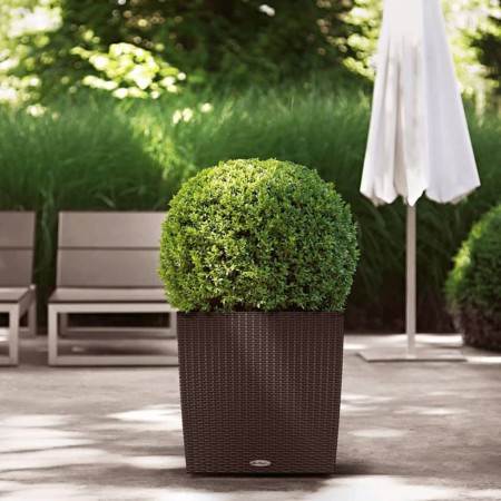 LECHUZA Macetero CUBE Cottage 50 ALL-IN-ONE moca von , Töpfe und Pflanzgefäße - Ref: Foro24-442088, Preis: 101,31 €, Rabatt: ...