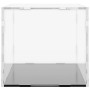 Caja de exposición acrílico transparente 30x15x14 cm